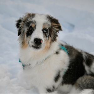 Meet your Posher, Talia